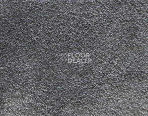 Ковролин Radici Lord Ardesia 330C фото 1 | FLOORDEALER